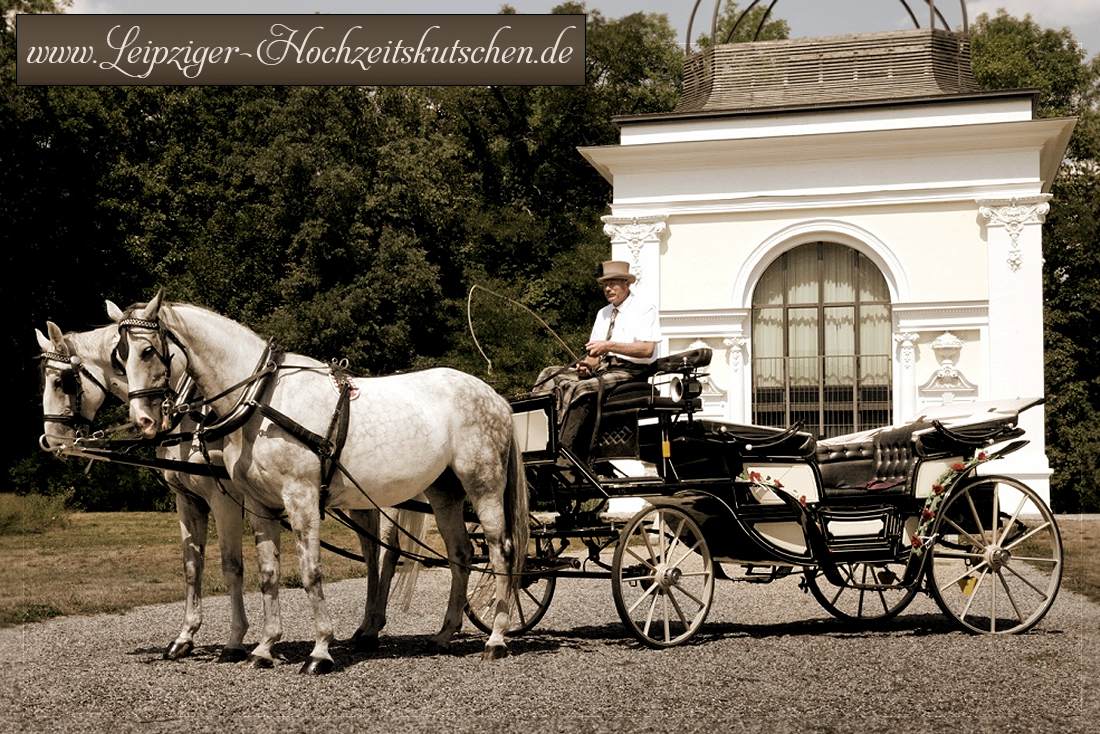 Landauer Vis-a-Vis Hochzeitskutsche Markkleeberg