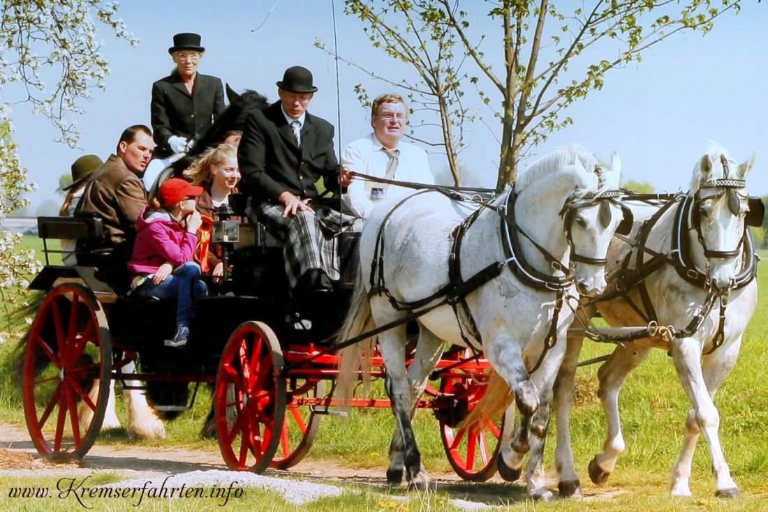 Landpartie in Naunhof mit unserer Wagonetten Kutsche