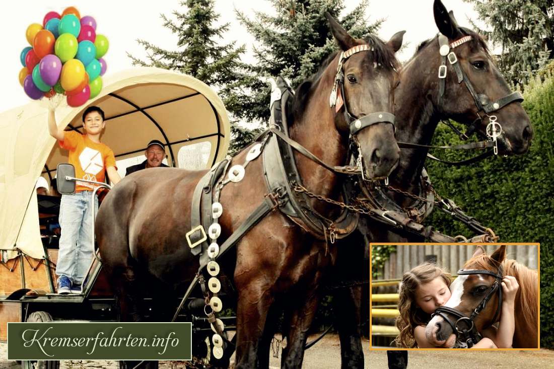 Kutschfahrt zum Kindergeburtstag