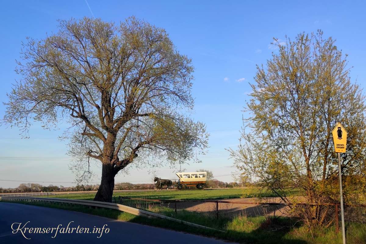 Kutschenfahrten in der Natur der Leipziger Parthenaue von Zweenfurth ber Althen nach Borsdorf