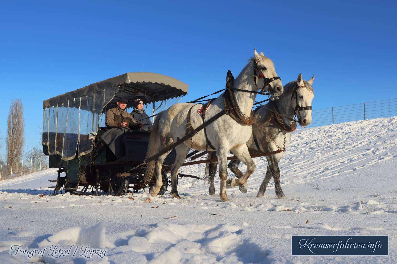 Winterkutschfahrten mit Pferdeschlitten in Panitzsch bei Leipzig