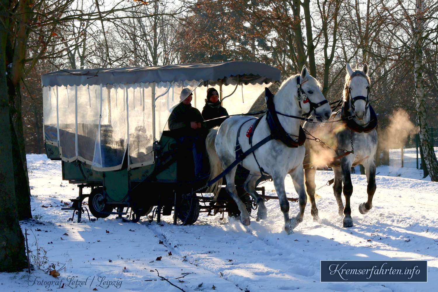 Winterschlitten Kutschfahrt in Leipzig Engelsdorf