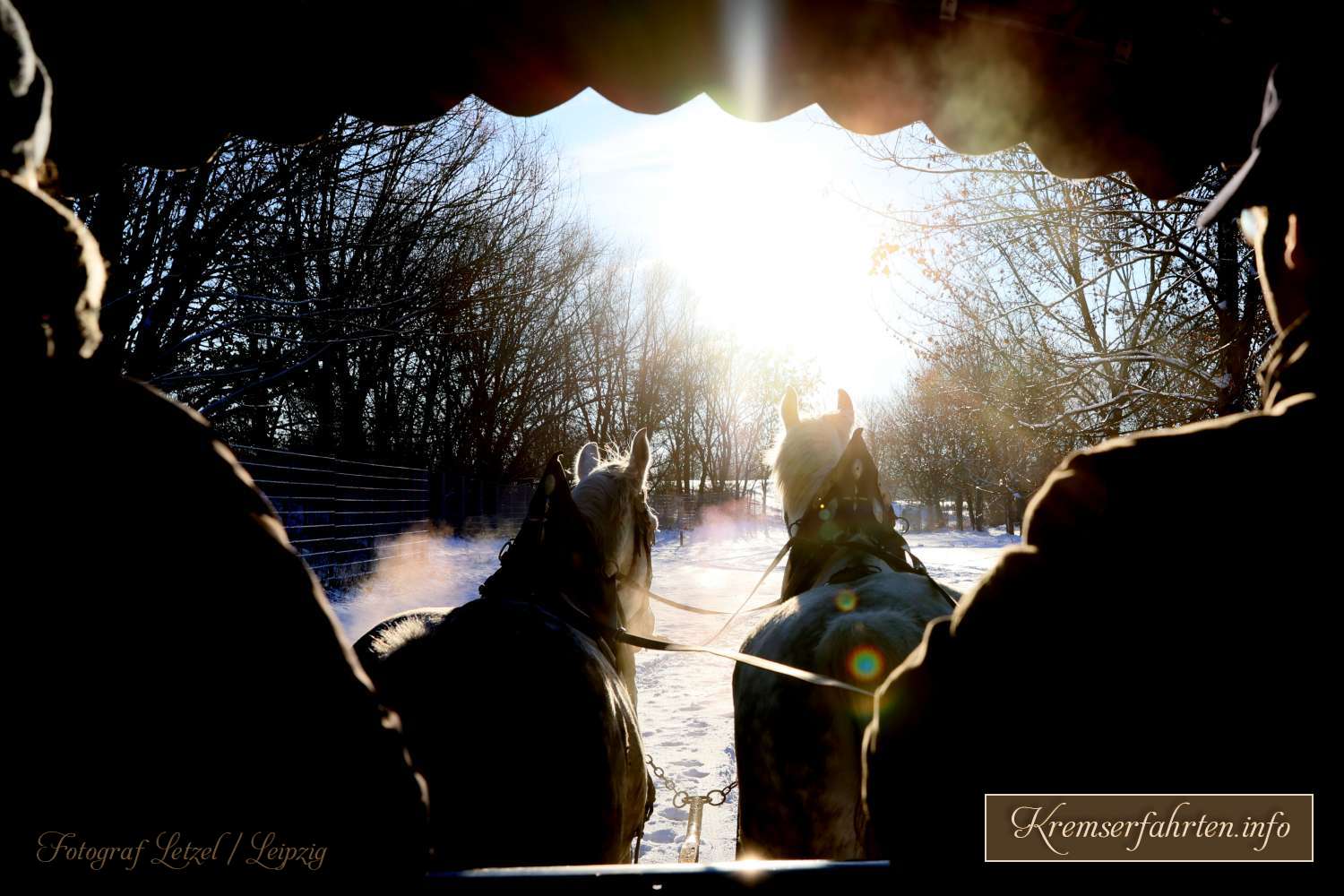 Romantische Winterwald Schlittenkutschfahrt am Markkleeberger See