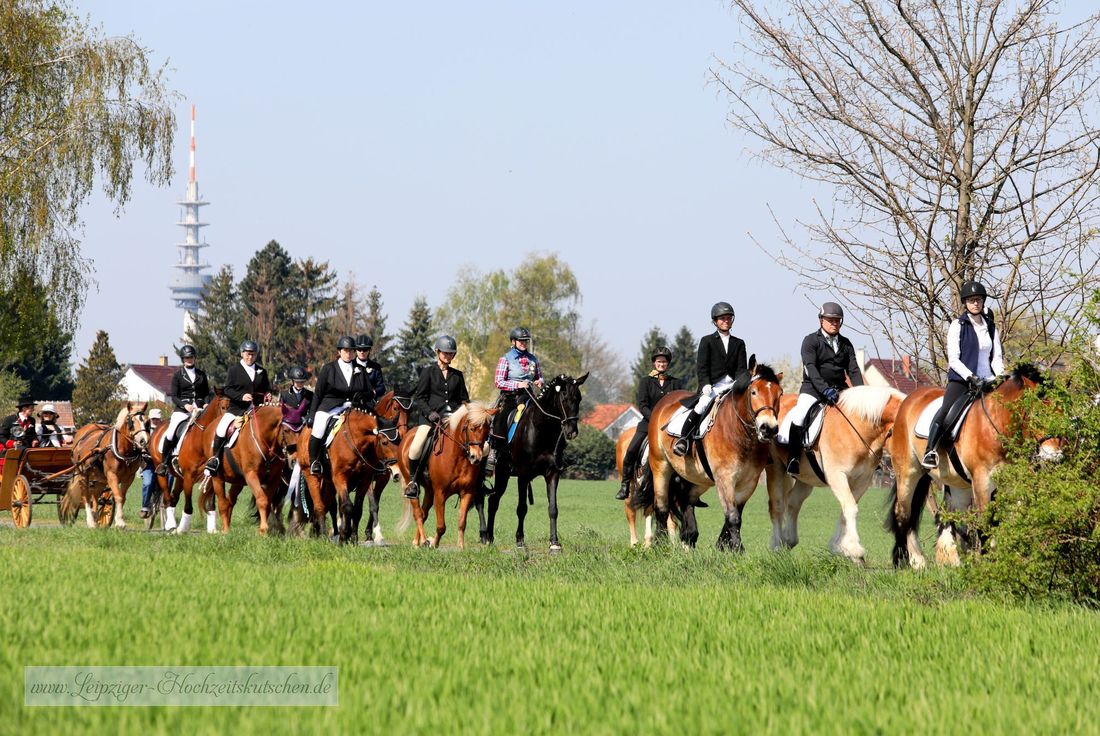 Osterreiten Engelsdorf (Sachsen)