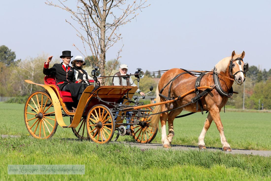 Osterreiten Zweenfurth bei Leipzig (Sachsen)