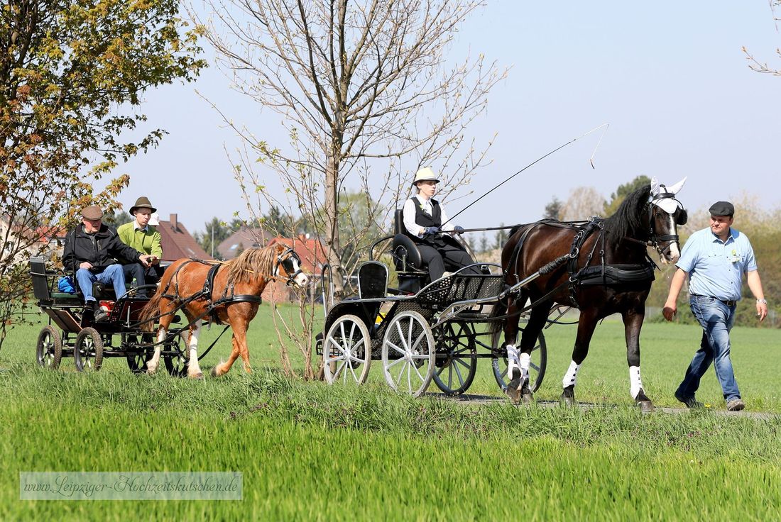 Osterreiten Seifertshain (Sachsen)