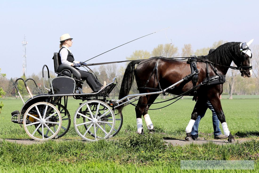 Kutschfahrten zu Ostern