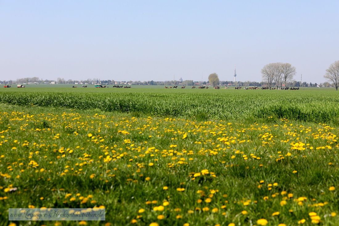 Leipziger Osterreiter in Sachsen