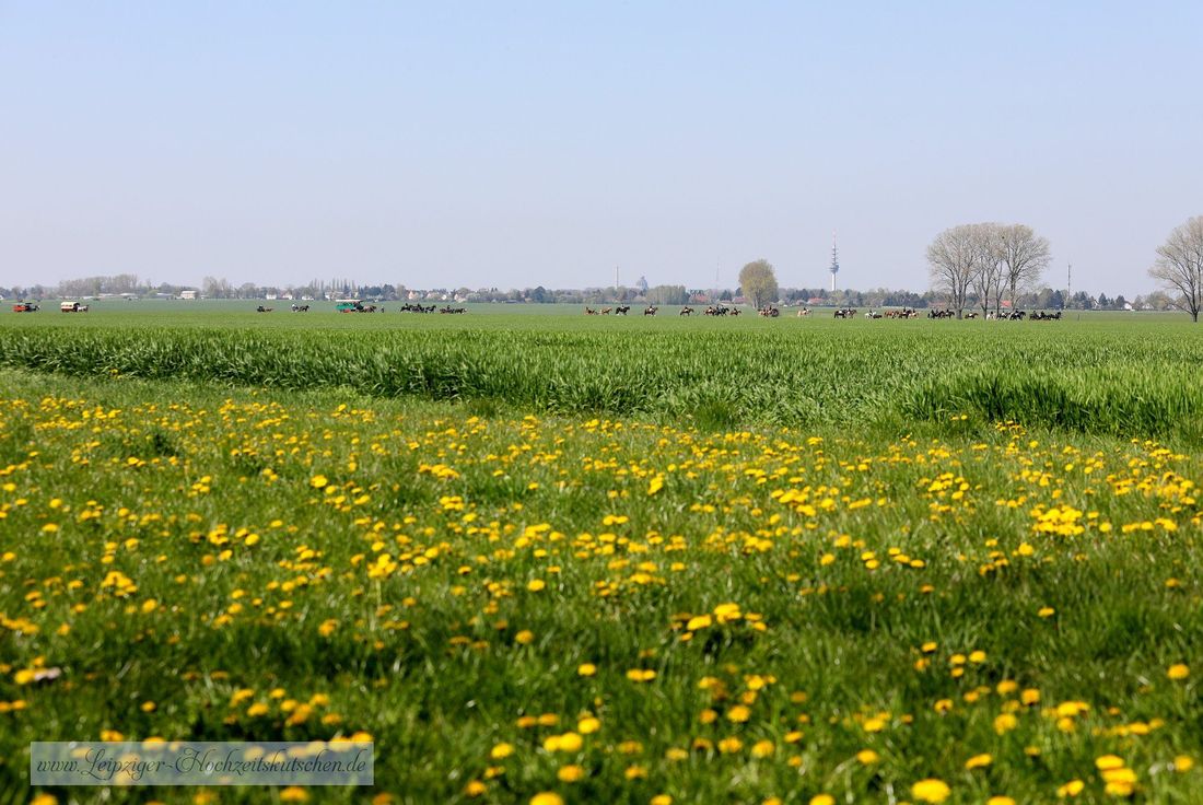 Leipziger Osterreiter in Sachsen